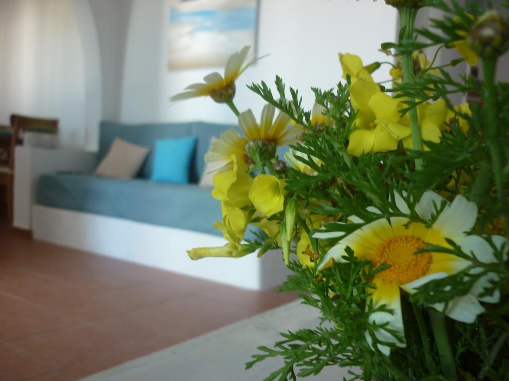 Villa Aelia Santorini Vothon ห้อง รูปภาพ
